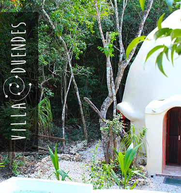 Plastic free Mexico partners